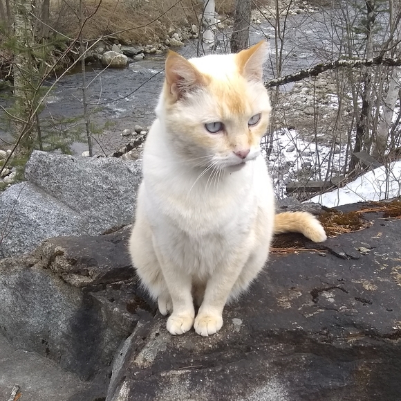 Meet your Posher, Christine - Picture 7 of 12